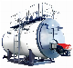 Automatic Fuel (gas) Steam Boilers