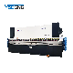 We67K-300t 6000 CNC Plate Bending Machine Hydraulic Press Brake Machine Suppliers