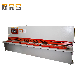  China Factory High Quality Hydraulic Guillotine Shears for Sale