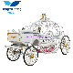 Special Wedding Horse Carriage Fairy Tale Cinderella Pumpkin Carriage