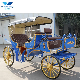  Electric Luxury Double Row Sightseeing Drawn Horse Carriage