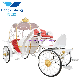  Hot Selling Wedding Horse Carriage for Sale