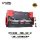 Delem System 300t6000mm CNC Press Brake Automatic Operation for Sheet Metal Bending manufacturer