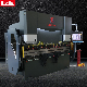  Lzkcnc Spb-100t2500 Double Servo CNC Press Brake with Da66t, 8+1 Axes, Customizable