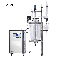 Double Jacketed 5L 10L 20L 50L 100L 200L High Pressure Glass Reactor Mixing Stirring Tank