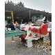 Wood Cutter Chipping Machine Price