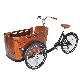 Electric 3 Wheels Goods Delivery Cabin Trike Cargo Tricycle for Home Use manufacturer