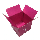 Custom Easy Set-up Paper Packaging Cardboard Carton Box