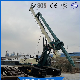 High Quality Small Engineering Crawler Type Pile Driver/Rig Dr-285 for Pile Foundation/Construction