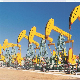 API 11 E Oil Drilling Rig, Mud Pump & Horse Head Oil Pumping Unit