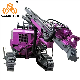  Mining Crawler DTH Drill Rig 50m Deep Rotary Borehole Hydraulic DTH Drilling Rig