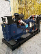 Diesel Generator Set with Top Quality