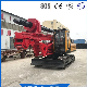  Factory Direct Crawler Diesel Pile Driver/Rig for House Building