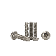 Self Tapping Self Drilling Machine Stainless Steel Pan Head Screw