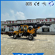 Dl-180 Small Land Mini Pile Drilling Driving Machine Rotary Drilling Rig