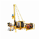  China Factory Pneumatic Drilling Rig Machine of Crawler Type