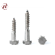 Stainless Steel 304 DIN571 Hexagon Half Thread Wood Tapping Screw