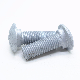 Hot DIP Galvanizing Carbon Steel HDG Guardrail Bolts