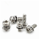 Stainless Steel Pan Head Phillips Combination Screw with Washer manufacturer