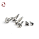 Stainless Steel 304 316 Torx Countersunk Flat Head Self-Drilling Screw