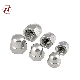  Round Stainless Steel Nylon Dome 304 Hex Cap Head Nut