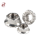  Hexagon Head with Stainless Steel DIN6923 304 Flange Nut/SS316 Flange Nut