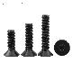 DIN7991 Black Stainless Steel Hex Socket Csk Head Cap Screw manufacturer