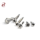 Phillips Cross Recessed Pan Round Head Phillips Pozi Drive Self Drilling Screw manufacturer