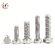 Stainless Steel Fully Threaded 304 Hexagon Head Bolt manufacturer