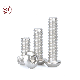 Stainless Steel ISO7380 Hex Socket Buttom Head Machine Screw