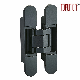  Maximum Door Load 80 Kgs Adjustable Concealed Door Hinge