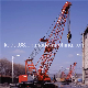  Telescope Boom Crawler Crane (QUY55)