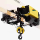 Euro Type Wire Rope Electric Crane Hoist Hoist with Hook manufacturer