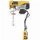 Electric Mini Type Hoist 100kg 200kg 500kg 1000kg Wireless Remote Control manufacturer