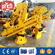 Hydraulic Boom Marine Pedestal Deck Ship Crane for Sale