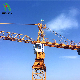  Many Kinds of Tower Crane Size with Competitive Price