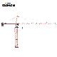 Trade Assurance China Supplier Hydraulic or Electric Marine Tower Slewing Crane with Low Price