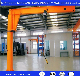 Bzd Model Concentrate Lifting Rotating 6t Balance Column Jib Crane with Pneumatic Hoist Chain Hoist