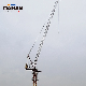 Hot Sale Luffing Jib Crane Luffing Jib Crane Hammerhead Tower Crane