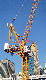  8 Ton Luffing Tower Crane with Jib 50m for Eml5020-8