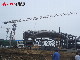 PT3006 Frequency Conversion Control Construction Self Erecting Tower Crane manufacturer