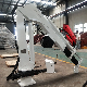  0.8-1 Ton Mini Crane Construction Machinery Pickup Crane