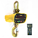 Hot Sale High Accuracy Industrial Digital Hanging Weighing Crane Scale