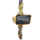 Electric Hanging Wireless Crane Scale with LED Display manufacturer