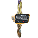 Electric Hanging Wireless Crane Scale with LED Display