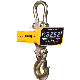 Digital Crane Scale 1000kg Electronic Hanging Scale with LED/LCD Display manufacturer