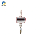 Customized Electric 5000kg Digital Hanging Weight Crane Weighing Hook Scales