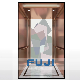  FUJI Commercial Passenger Lift Price