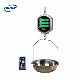 Wholesale Digital Hanging Computing Scale Crane Weighing Scale 30kg manufacturer