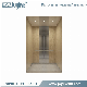 High-End Elegant Design 1150kg Passenger Lift Elevator Used in Residential Building Office manufacturer